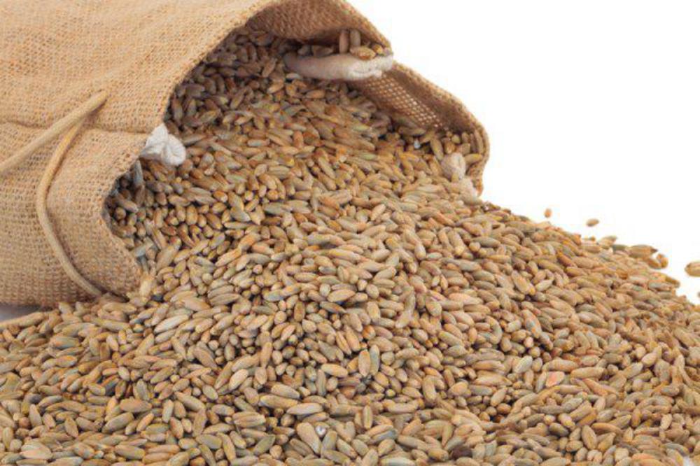 Grains add fibre and some great flavour to your plant based diet